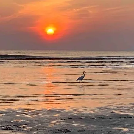 L'opaline Hardelot-plage * Neufchatel-Hardelot